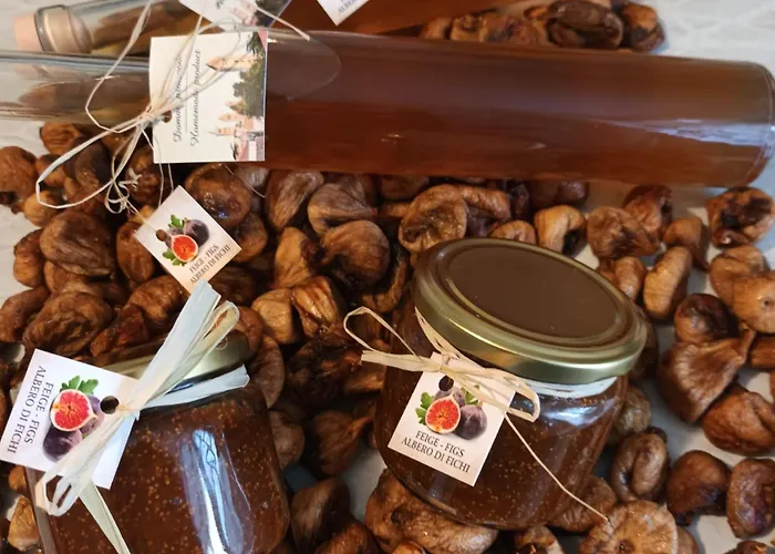 Apartment Blazenka Kampor